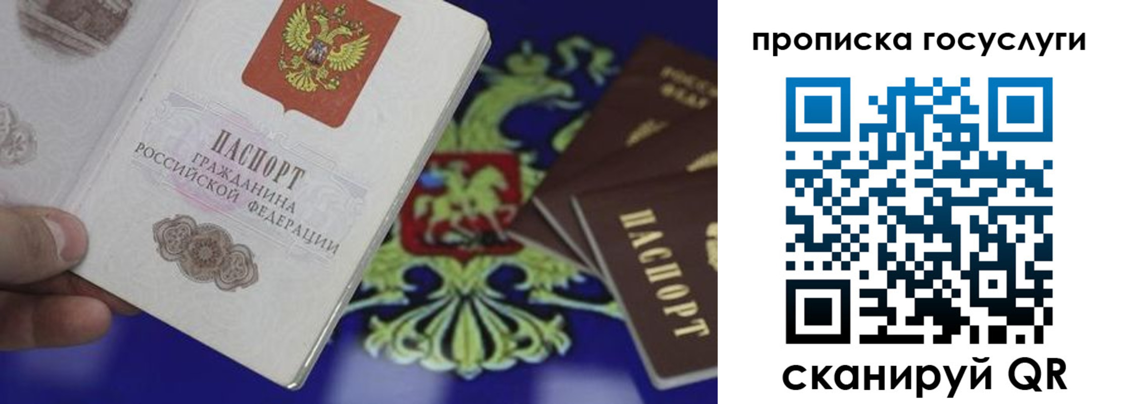 прописка для школы в Шагонаре
